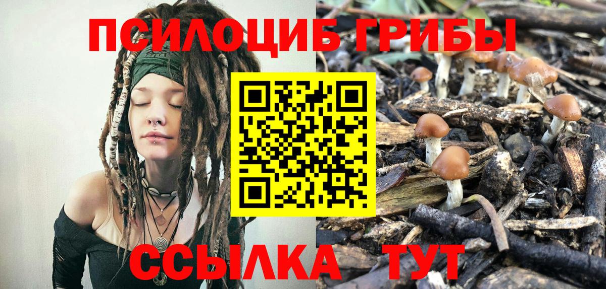 где найти   Псилоцибиновые грибы GOLDEN TEACHER  Вход с VPN  Чернушка 
