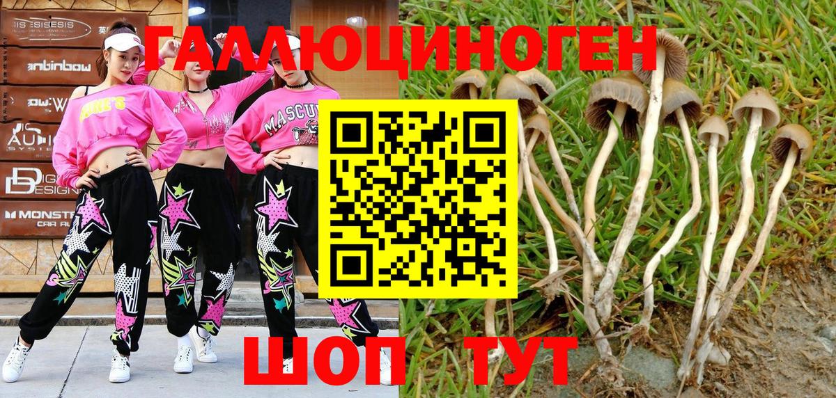 Галлюциногенные грибы MAGIC MUSHROOMS Чернушка